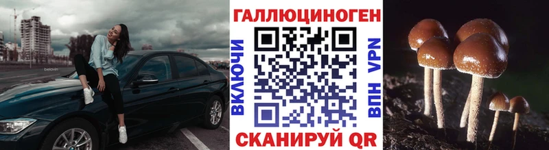 Псилоцибиновые грибы Magic Shrooms  Окуловка 